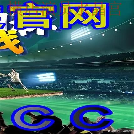 世界杯买球法国比赛怎么分析更稳